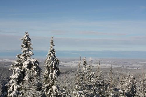 three snow covered trees on top of a mountain at Appartements Gahler - Kurort Oberwiesenthal in Kurort Oberwiesenthal