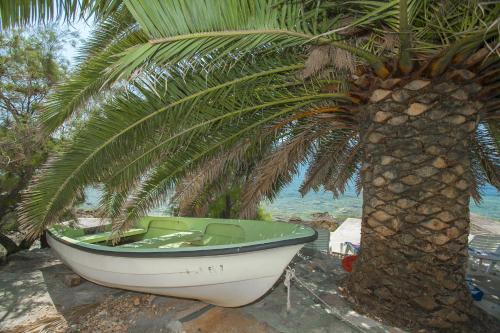 En have udenfor Holiday Home Neda