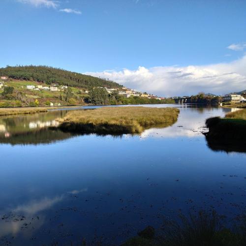 a body of water with grass and buildings in the background at Apartamentos Minas de Silvarosa in Viveiro