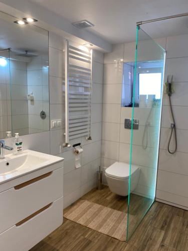 a bathroom with a toilet and a glass shower at Lawendowa Przystań Sandomierska in Dwikozy