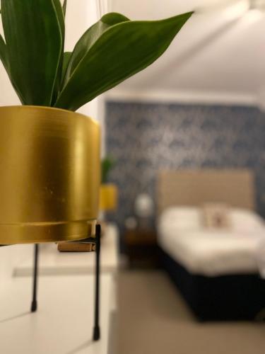 Katil atau katil-katil dalam bilik di The Foresters Guest House