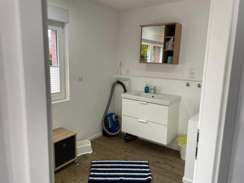 W białej łazience znajduje się umywalka i lustro. w obiekcie Gemütliche 1-Zimmer Wohnung mit eigenem Eingang w mieście Wesseling