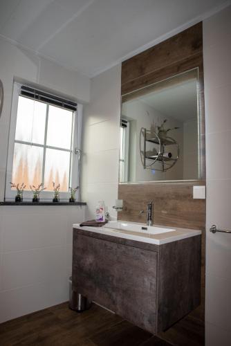 a bathroom with a sink and a mirror at Nooit gedacht in Sint Annaland