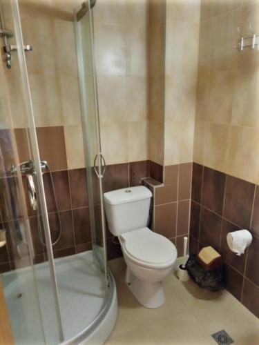 a bathroom with a toilet and a shower at Семеен хотел Чекръка in Iskŭr