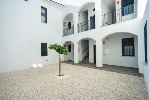 Foto EM21 Apartamentos 6
