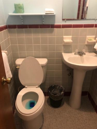 La salle de bains est pourvue de toilettes et d'un lavabo. dans l'établissement Cindy’s Motel & RV Park, à Mayo