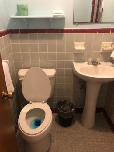 a bathroom with a toilet and a sink at Cindy’s Motel & RV Park in Mayo