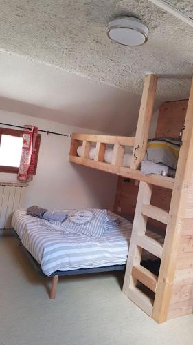 a bedroom with a bunk bed with a ladder and a bunk bedutenewayeway at Auberge La Coulette in Vars