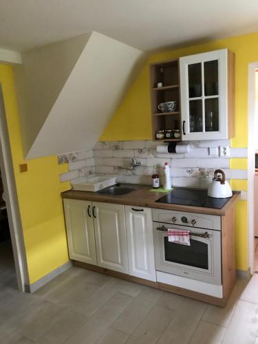 uma cozinha com paredes amarelas e um forno branco em Chata Fanynka em Belá pod Pradedem