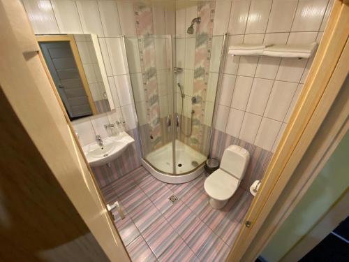 a bathroom with a shower and a toilet and a sink at Nord Star Ski Complex in Murmansk