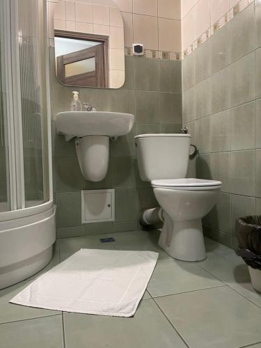 a bathroom with a toilet and a sink at Pensjonat "Jodłowy Dwór" in Bieliny