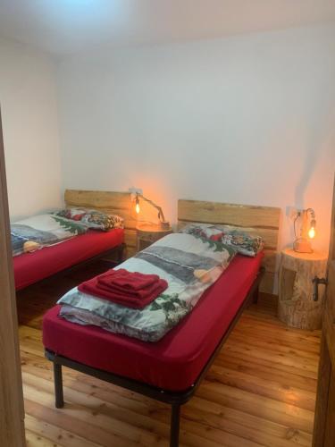 een kamer met 2 bedden in een kamer met 2 lampen bij Ul baitin da In Re in Craveggia