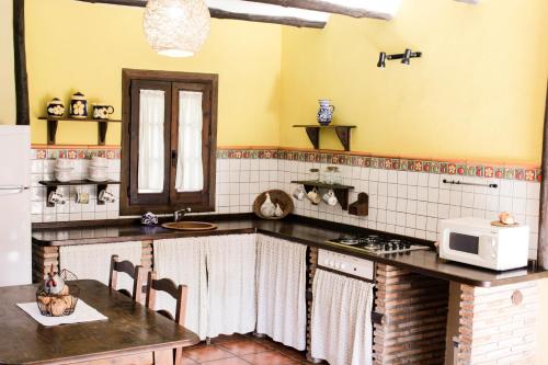 eine Küche mit einer Spüle und einer Mikrowelle in der Unterkunft Cortijo Puerta Casas Rurales in Órgiva