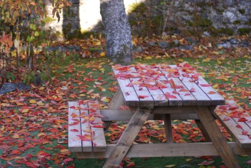 a picnic table with leaves on it in a park at Columba House in Kingussie
