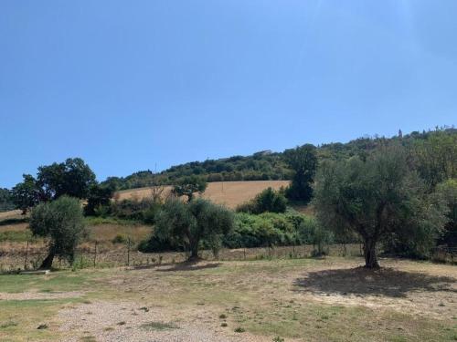 Ảnh trong thư viện ảnh của La Perpetua ở Campofilone