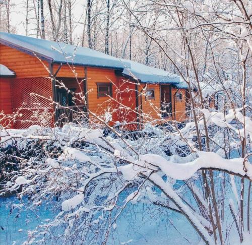 a cabin in the snow with snow covered trees at Tri Medvedya in Zaokskiy