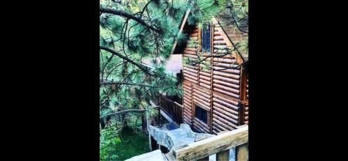 Booking.com: Pura Vida Cabaña , Valencia, Spanje - 10 ...