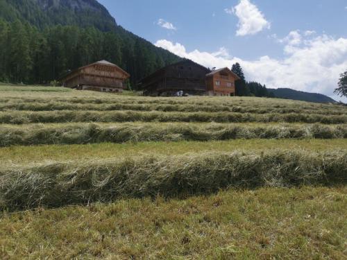 a field of hay with buildings in the background at Ritschhof in Castelrotto