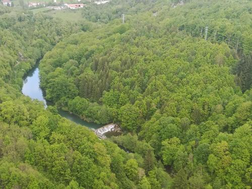 an aerial view of a river in a forest at Pirinargi Apartamento in Abaurrea Alta
