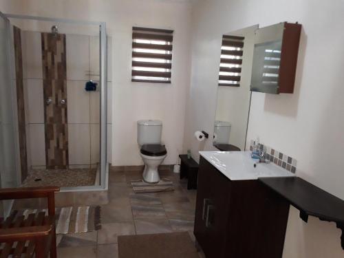 a bathroom with a shower and a toilet and a sink at In Da Bush in Modimolle