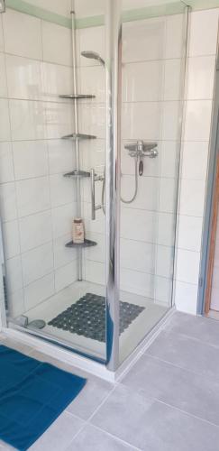 a shower with a glass door in a bathroom at Pfötchen in Mettweiler