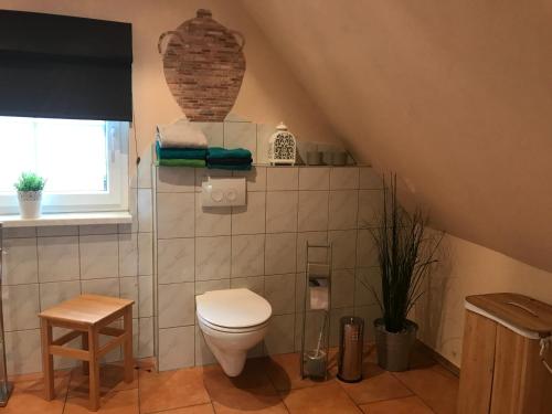 a bathroom with a toilet in a attic at Ferienwohnung Baumann in Schwarzenberg