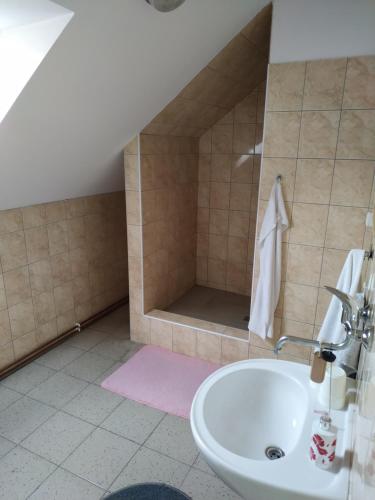 a bathroom with a sink and a shower at Apartmán v Anenském údolí in Moravská Třebová