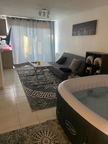 - un salon avec une baignoire et un canapé dans l'établissement Superbe appartement avec balcon et Jaccuzzi !, à Pau
