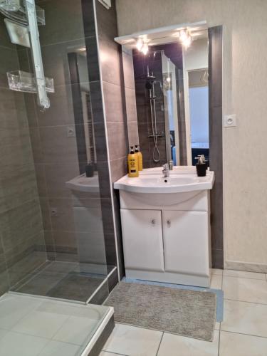 une salle de bain avec un lavabo blanc et une douche dans l'établissement Superbe appartement avec balcon et Jaccuzzi !, à Pau