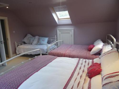 a attic bedroom with two beds and a skylight at Everest Lodge Guest House in Dunfanaghy