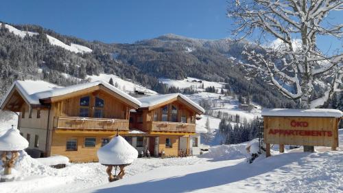 a log cabin in the snow on a mountain at Öko-Appartements Fallhaus in Forstau