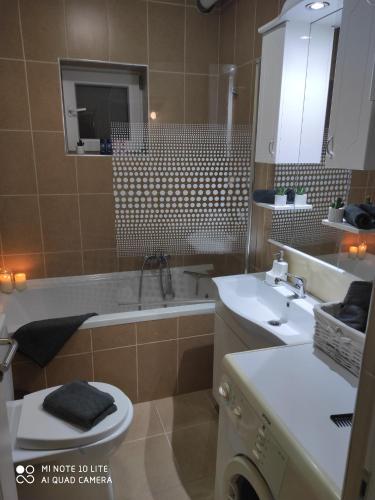 Bathroom sa KUĆA VILA IDILA VRŠAC