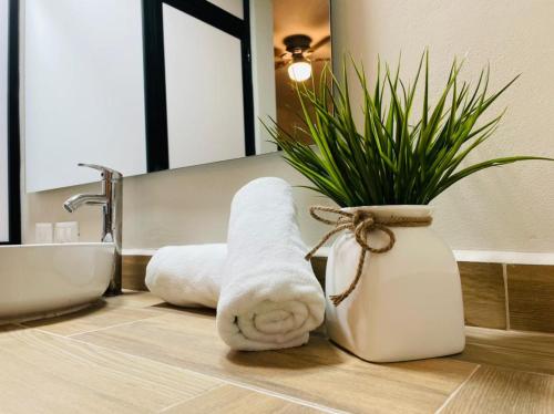 un bagno con una pila di asciugamani e una pianta di Corazon de Tulum a Tulum