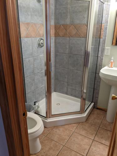 a bathroom with a shower with a toilet and a sink at Studio apartment 15 minute walk to plaza in Santa Fe