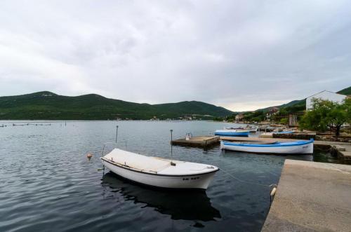 um grupo de barcos estão ancorados num lago em Apartments Žuronja em Putniković