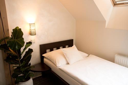 a small bedroom with a bed and a plant at Apart Hotel Jablonec in Jablonec nad Nisou