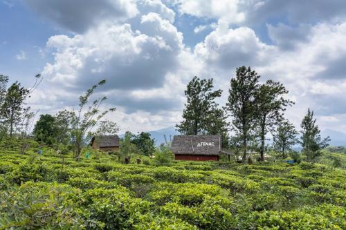 a farm in the middle of a field at Nelinsa Resort and Spa in Matale