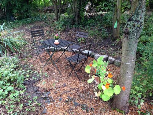 a table and chairs in a garden with a plant at B&B De Henehoeve in Heks