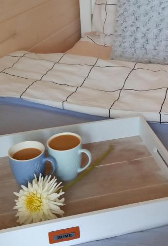 two cups of coffee on a tray next to a bed at Gazdówka - najlepsza miejscówka domek w Pieninach in Krościenko