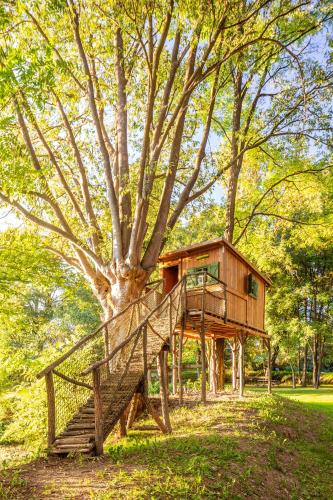 a tree house with a staircase next to a tree at El Rebastral - Mas Vinyoles Natura in Sant Pere de Torelló