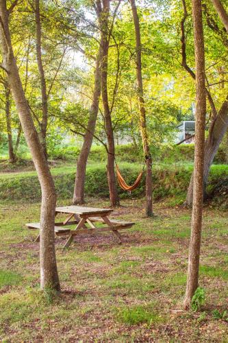 a picnic table and hammock in a park with trees at El Rebastral - Mas Vinyoles Natura in Sant Pere de Torelló