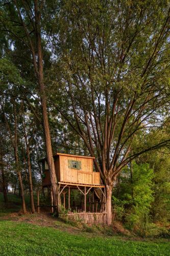 a tree house in the middle of a forest at El Rebastral - Mas Vinyoles Natura in Sant Pere de Torelló