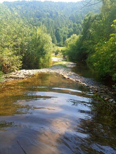 a river with trees on the side of it at Gazdówka - najlepsza miejscówka domek w Pieninach in Krościenko