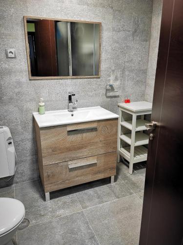 a bathroom with a sink and a toilet and a mirror at APARTAMENTO ALES in Arenas de San Pedro