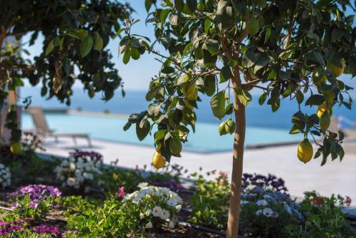 a tree in a garden with flowers and a beach at Best Western Plus Hotel Terre di Eolo in Patti