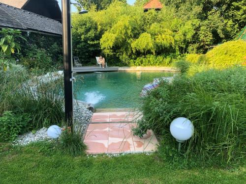 a dog sitting on a patio in a pool of water at Haus mit Sauna und privatem Badeteich in Anif bei Salzburg in Anif