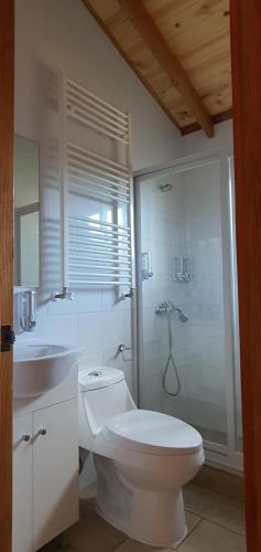 a bathroom with a toilet and a sink and a shower at Cabañas, canchas de pádel, básquet, voley, juegos infantiles y más in Villarrica