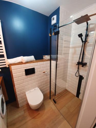 a bathroom with a toilet and a glass shower stall at LEOmare in Międzywodzie