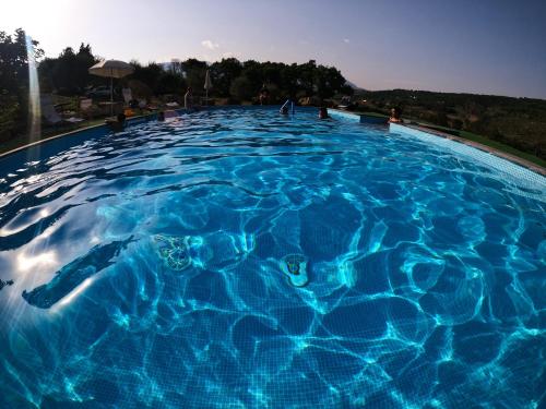 Bazén v ubytování Agriturismo B&B Il Rifugio di Nino nebo v jeho okolí
