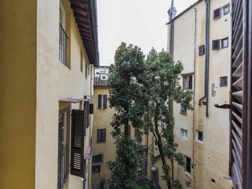 Palazzo Terme by Halldis